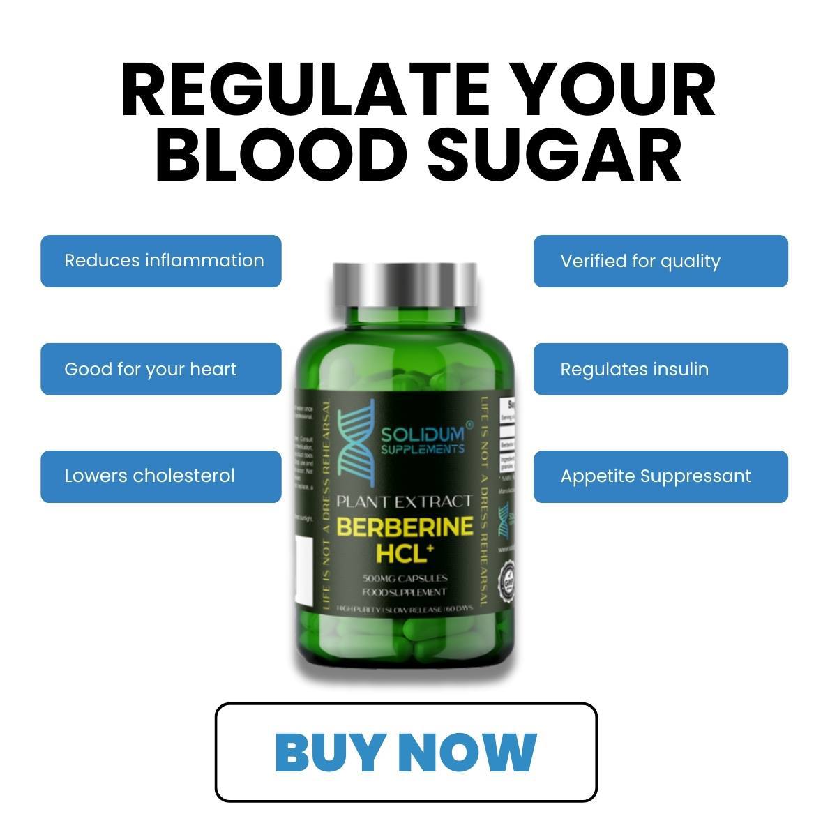 Premium Berberine HCL+ 500mg 60 Capsules