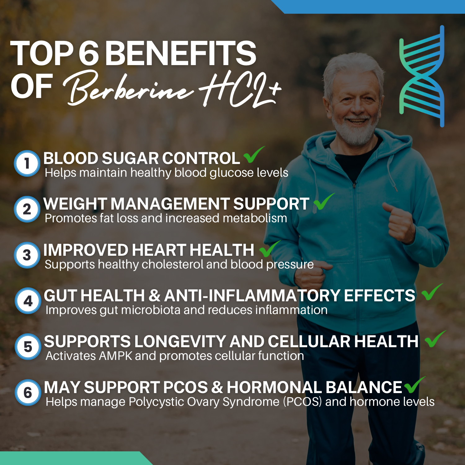 Premium Berberine HCL+ 98%